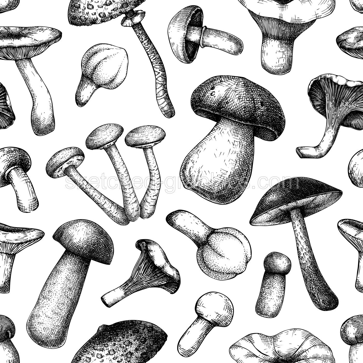 Edible mushrooms seamless pattern. Hand drawn food background. Forest plants sketches for recipe, menu, label, icon, packaging. Vintage fungi texture design. Botanical illustration Illustration